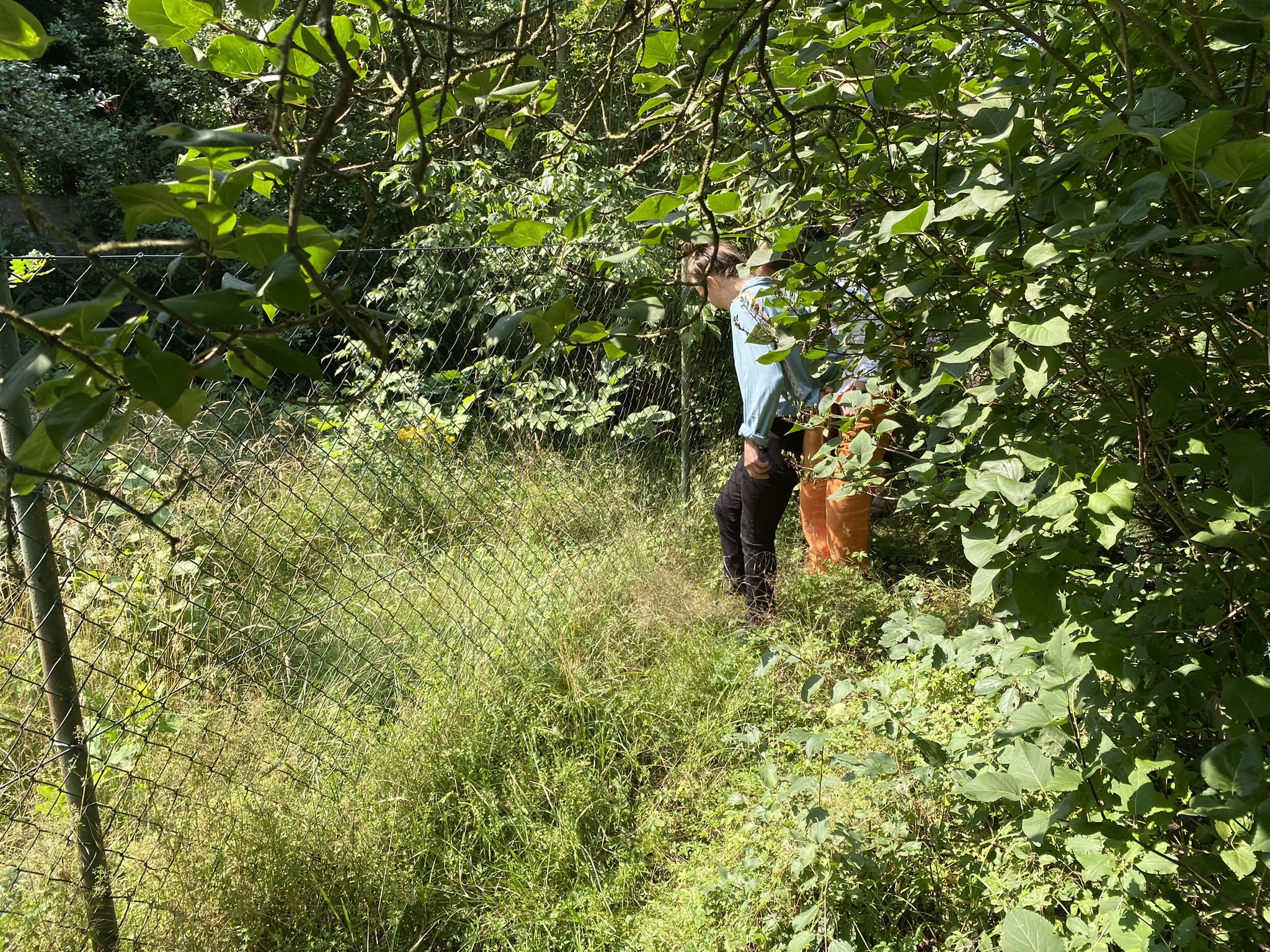 Exkursion in das Plangebeit
