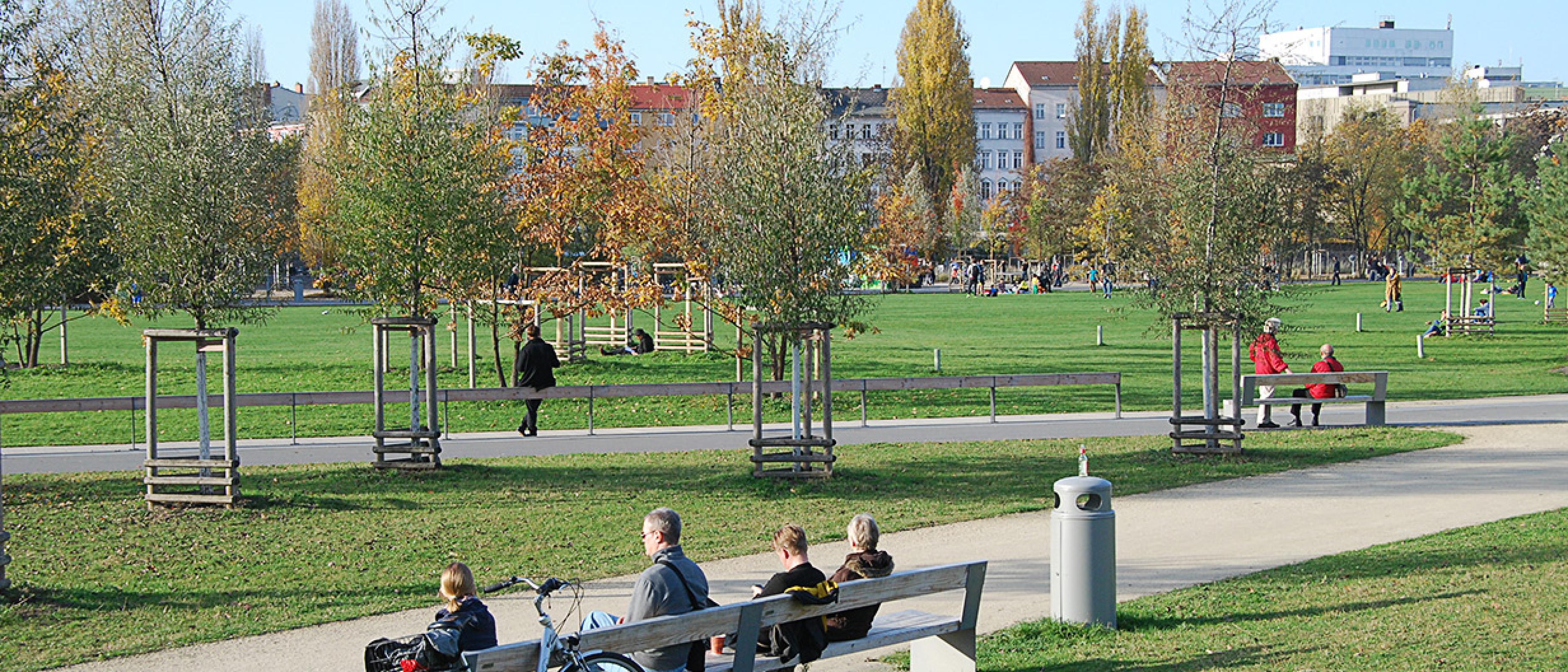 Bundestransferstelle, Blick auf eien Grünfläche